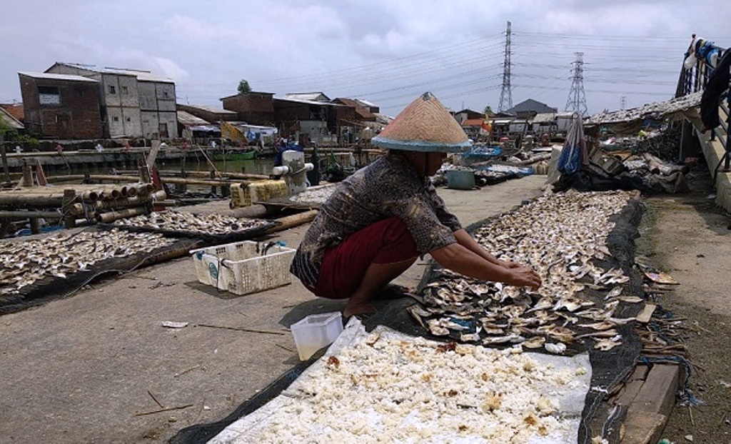 Nelayan Tambaklorok Sedang Menjemur Ikan