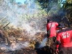 Kebakaran Hutan dan Lahan Terjadi di Wilayah Calon Ibu Kota Baru