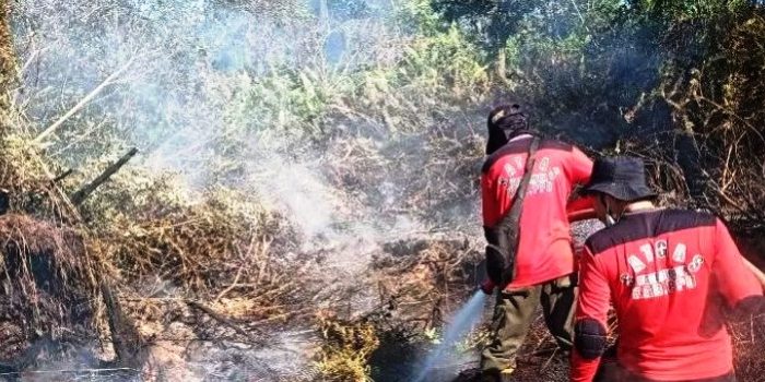 Petugas berusaha memadamkan kebakaran lahan terjadi di wilayah Kabupaten Penajam Paser Utara