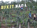 3 Wisata Alam yang Lagi Ngetren di Pati