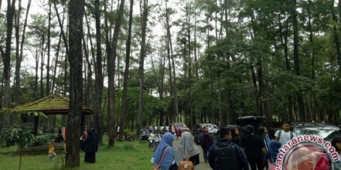 Hutan Kota Rajawali, Tempat Santai Melepas Penat di Batang