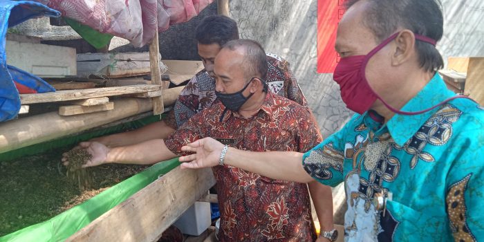 Suparmin, Kepala Bidang PPRTH