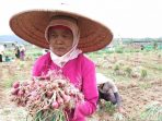 Bantu Petani, KUD Diaktifkan Kembali