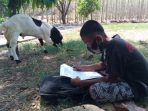 Kerjakan Ujian Sembari Gembalakan Kambing