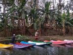 Cengkir Manis, Alternatif Destinasi Wisata di Kudus