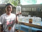Tren Ikan Cupang Peluang Usaha Menjanjikan