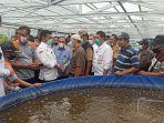 Budidaya Lele Bioflok Bisa Jadi Contoh Daerah Lain