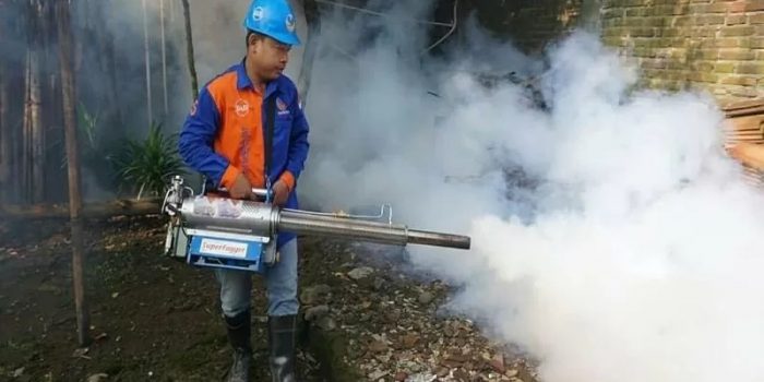 pengasapan untuk memusnahkan sarang nyamuk