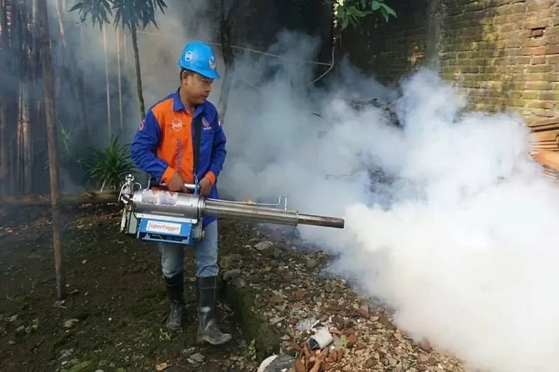 pengasapan untuk memusnahkan sarang nyamuk