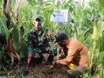 Cegah Bencana, Kodim dan Perhutani Tanam 600 Pohon