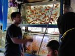 Selama Pandemi, Penjualan Ikan Hias Meningkat