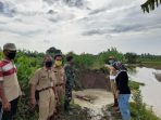 Tanggul Jebol Rendam Sawah dan Pemukiman