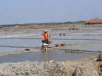 Andalkan Cuaca, Produksi Garam tak Stabil