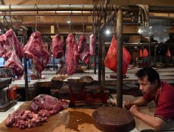 Kenaikan Harga Daging Sapi tak Bisa Dihindari