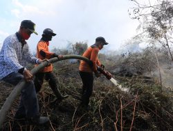 Enam Hektare Lahan Terbakar