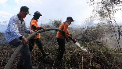 Enam Hektare Lahan Terbakar