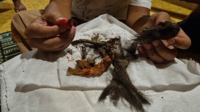 Jenglot di Makam Mbah Buyut Akasah