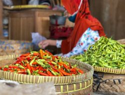 Harga Cabai Tembus Rp120.000 per Kilogram