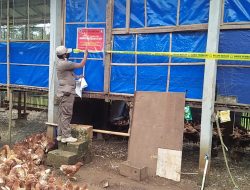 Tak Memiliki IMB, Satpol PP Segel Kandang Ayam di Glagah Kulon