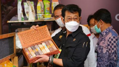 Menteri Pertanian Syahrul Yasin Limpo