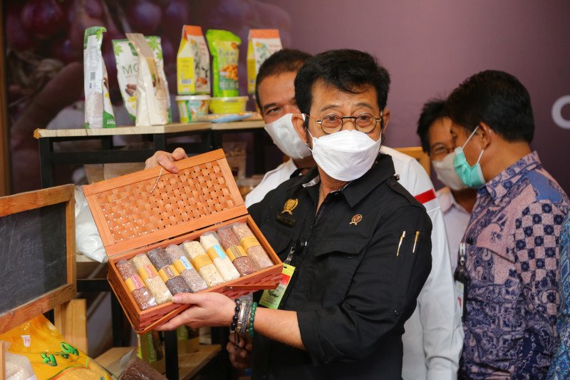 Menteri Pertanian Syahrul Yasin Limpo