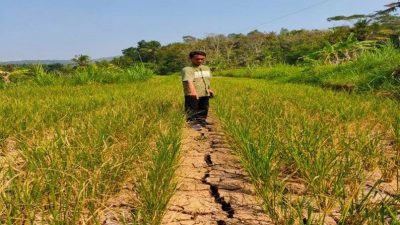 Harapkan Segera Bangun Embung di Sidomulyo