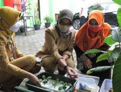 Pelatihan Hidroponik Bagi Kelompok Perempuan Rentan