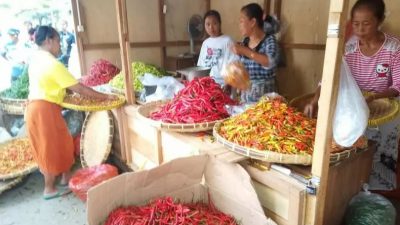 Penurunan Harga PascaLebaran Picu Deflasi