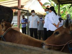 Untuk Menghindari Kerumunan, Gus Yasin Dorong Penyembelihan Hewan Kurban di RPH