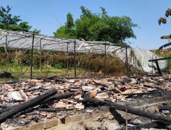 Tursulut Perapian Kandang, Satu Rumah Ludes Terbakar