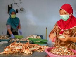 Harga Rajungan Tinggi, Pengepul Diminta tak Curi Kesempatan