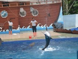 Batang Dolphin Center Lakukan Simulasi Pembukaan Objek Wisata
