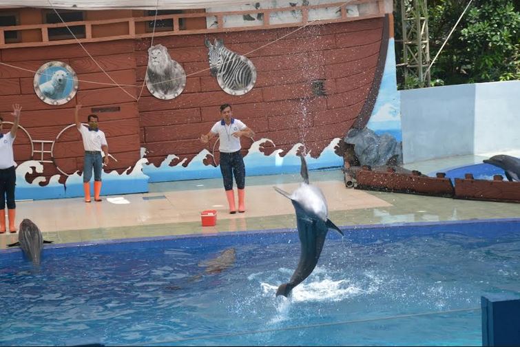 Batang Dolphin Center