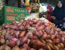 Harga Bawang Merah di Kabupaten Demak Anjlok