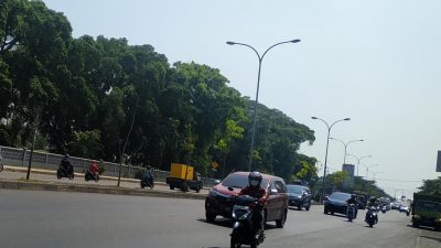 Atasi Cuaca Ekstrem, Dinas Lingkungan Hidup Kota Semarang  Galakkan Penanaman Pohon