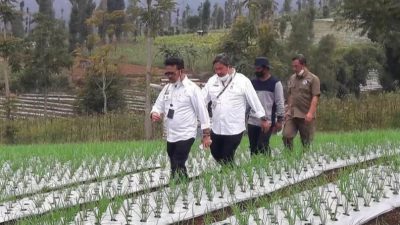 Kabupaten Temanggung dan Wonosobo  Menjadi Percontohan Pengembangan Food Estate