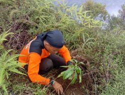 Restorasi Hutan Terkendala Anggaran