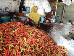 Harga Bahan Pokok Mulai Melandai