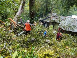 Pohon Tumbang di Rejenu Timpa Warung
