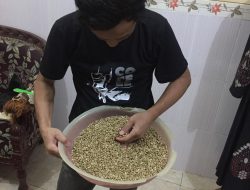 Barista Perlu Pahami Proses Pembuatan Kopi