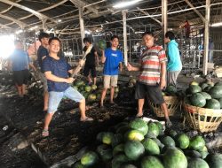 Terdampak Kebakaran Relokasi Pasar Johar MAJT Diberi Bantuan Modal Rp 4 Juta