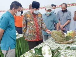 Perputaran Uang Sektor Durian di Rembang Selama 2021 Capai Rp 9 Miliar