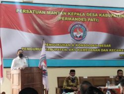 Permandes Dibentuk bukan Sebagai Tujuan Politik