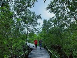 Pakar Dorong Pemakaian Produk Hutan Bersertifikat
