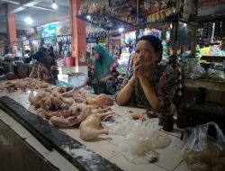 Jelang Ramadan, Harga Daging Ayam Diprediksi Naik