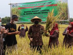 Tradisi Wiwitan, Bentuk Ekspresi Budaya Religius