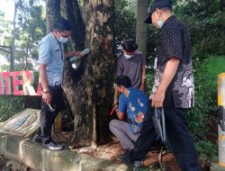3 Kg Paku Terkumpul saat Pembersihan Reklame Liar