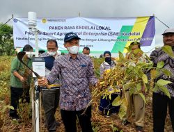 Petani Menilai Kedelai Grobogan Meningkatkan Hasil Pertanian