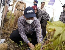 Tingkatkan Produktivitas Kedelai dalam Negeri