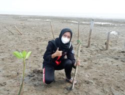 Suka Ikuti Tanam Mangrove